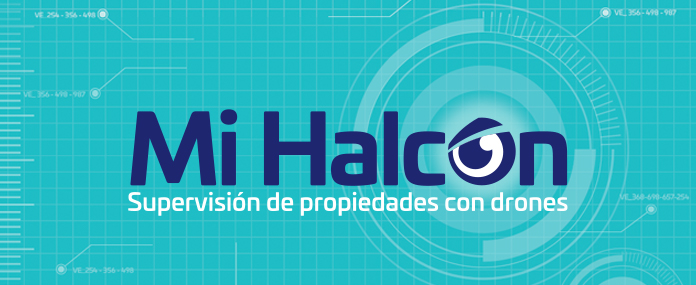 Mi Halcón