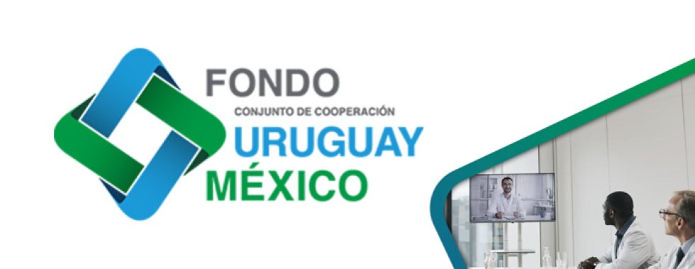 Sitio web Fondo de Cooperación Uruguay México